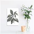 Picture of Black Watercolour Botanical I _GroupedProduct_Rectangle_Portrait_Unframed_Print_Only_