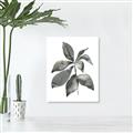 Picture of Black Watercolour Botanical I _GroupedProduct_Rectangle_Portrait_Unframed_Print_Only_