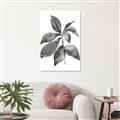 Picture of Black Watercolour Botanical I _GroupedProduct_Rectangle_Portrait_Unframed_Print_Only_