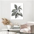 Picture of Black Watercolour Botanical I _GroupedProduct_Rectangle_Portrait_Unframed_Print_Only_