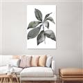 Picture of Black Watercolour Botanical I _GroupedProduct_Rectangle_Portrait_Unframed_Print_Only_
