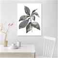 Picture of Black Watercolour Botanical I _GroupedProduct_Rectangle_Portrait_Unframed_Print_Only_