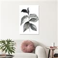Picture of Black Watercolour Botanical II  _GroupedProduct_Rectangle_Portrait_Unframed_Print_Only_