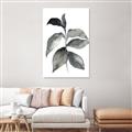 Picture of Black Watercolour Botanical II  _GroupedProduct_Rectangle_Portrait_Unframed_Print_Only_