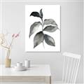 Picture of Black Watercolour Botanical II  _GroupedProduct_Rectangle_Portrait_Unframed_Print_Only_