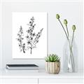 Picture of Whimsy Botanical I  _GroupedProduct_Rectangle_Portrait_Unframed_Print_Only_