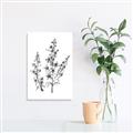 Picture of Whimsy Botanical I  _GroupedProduct_Rectangle_Portrait_Unframed_Print_Only_