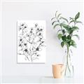 Picture of Whimsy Botanical II  _GroupedProduct_Rectangle_Portrait_Unframed_Print_Only_