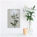 Picture of White flower I  _GroupedProduct_Rectangle_Portrait_Unframed_Print_Only_