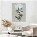 Picture of White flower I  _GroupedProduct_Rectangle_Portrait_Unframed_Print_Only_