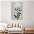 Picture of White flower I  _GroupedProduct_Rectangle_Portrait_Unframed_Print_Only_