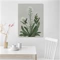 Picture of White flower II  _GroupedProduct_Rectangle_Portrait_Unframed_Print_Only_