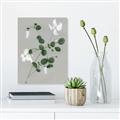 Picture of White flower IV _GroupedProduct_Rectangle_Portrait_Unframed_Print_Only_