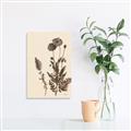 Picture of Vintage Botanical I  _GroupedProduct_Rectangle_Portrait_Unframed_Print_Only_