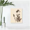 Picture of Vintage Botanical I  _GroupedProduct_Rectangle_Portrait_Unframed_Print_Only_