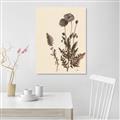 Picture of Vintage Botanical I  _GroupedProduct_Rectangle_Portrait_Unframed_Print_Only_