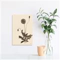 Picture of Vintage Botanical II  _GroupedProduct_Rectangle_Portrait_Unframed_Print_Only_