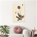 Picture of Vintage Botanical II  _GroupedProduct_Rectangle_Portrait_Unframed_Print_Only_