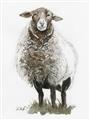 Picture of Watercolour Sheep  _GroupedProduct_Rectangle_Portrait_Unframed_Print_Only_