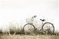 Picture of Leaning Bike  _GroupedProduct_Rectangle_Landscape_Photography _GroupedProduct_Rectangle_Landscape_Unframed_Print_Only_