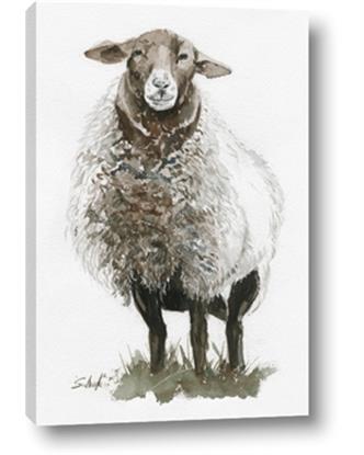 Picture of Watercolour Sheep