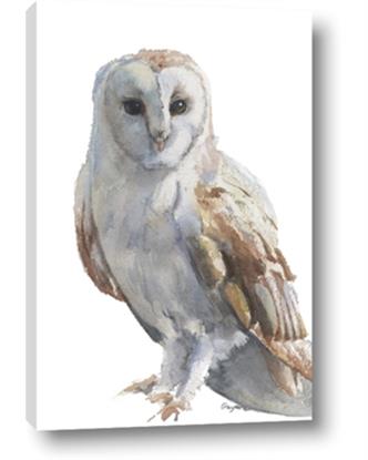 Picture of Watercolour Owl