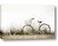 Picture of Leaning Bike