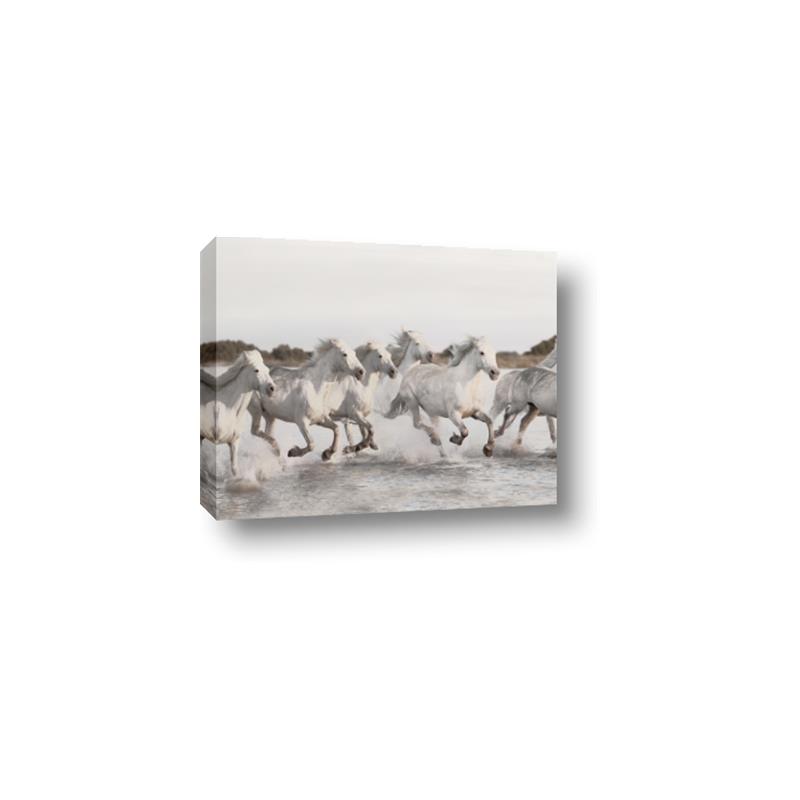 Picture of Horses Running in Water _GroupedProduct_Rectangle_Landscape_Photography _GroupedProduct_Rectangle_Landscape_Canvas_