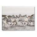Picture of Horses Running in Water _GroupedProduct_Rectangle_Landscape_Photography _GroupedProduct_Rectangle_Landscape_Canvas_
