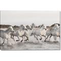 Picture of Horses Running in Water _GroupedProduct_Rectangle_Landscape_Photography _GroupedProduct_Rectangle_Landscape_Canvas_