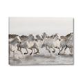 Picture of Horses Running in Water _GroupedProduct_Rectangle_Landscape_Photography _GroupedProduct_Rectangle_Landscape_Canvas_