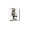 Picture of Watercolour Sheep  _GroupedProduct_Rectangle_Portrait_Canvas_