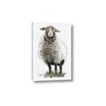 Picture of Watercolour Sheep  _GroupedProduct_Rectangle_Portrait_Canvas_