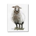 Picture of Watercolour Sheep  _GroupedProduct_Rectangle_Portrait_Canvas_