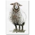 Picture of Watercolour Sheep  _GroupedProduct_Rectangle_Portrait_Canvas_