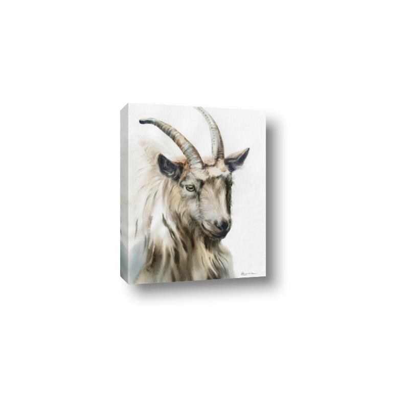 Picture of Watercolour Ram  _GroupedProduct_Rectangle_Portrait_Canvas_