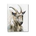 Picture of Watercolour Ram  _GroupedProduct_Rectangle_Portrait_Canvas_