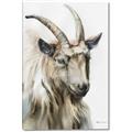 Picture of Watercolour Ram  _GroupedProduct_Rectangle_Portrait_Canvas_