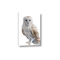 Picture of Watercolour Owl  _GroupedProduct_Rectangle_Portrait_Canvas_