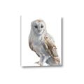 Picture of Watercolour Owl  _GroupedProduct_Rectangle_Portrait_Canvas_