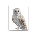 Picture of Watercolour Owl  _GroupedProduct_Rectangle_Portrait_Canvas_