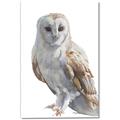 Picture of Watercolour Owl  _GroupedProduct_Rectangle_Portrait_Canvas_
