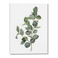 Picture of Green Leaves II  _GroupedProduct_Rectangle_Portrait_Canvas_