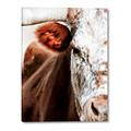 Picture of Brown & black Cattle _GroupedProduct_Rectangle_Portrait_Photography _GroupedProduct_Rectangle_Portrait_Canvas_