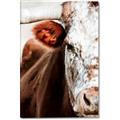 Picture of Brown & black Cattle _GroupedProduct_Rectangle_Portrait_Photography _GroupedProduct_Rectangle_Portrait_Canvas_