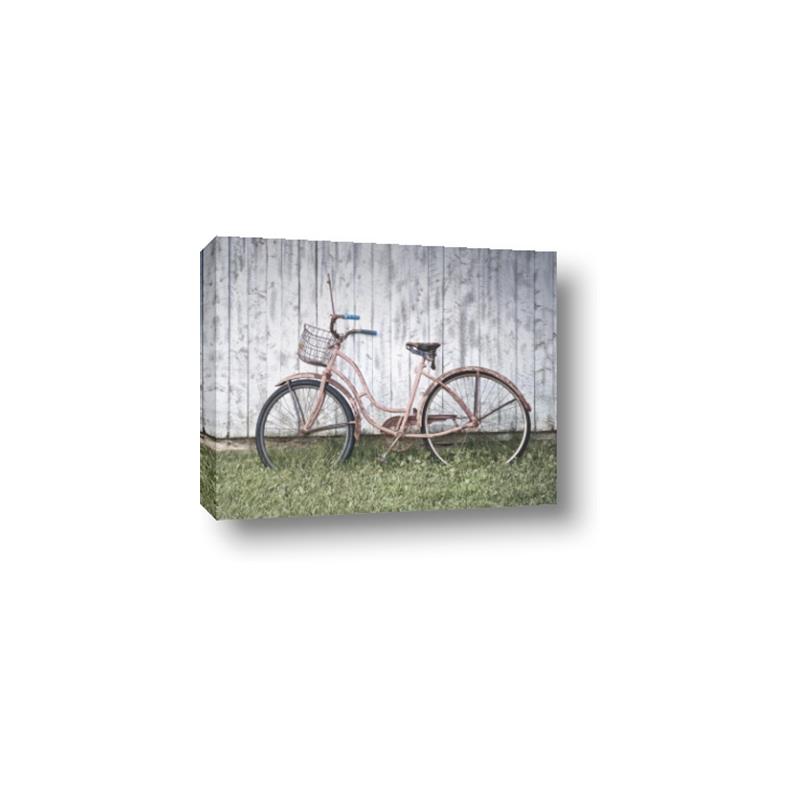 Picture of Pink bike _GroupedProduct_Rectangle_Landscape_Photography _GroupedProduct_Rectangle_Landscape_Canvas_