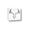 Picture of Cranial Bone ll   _GroupedProduct_Square_Canvas_