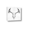 Picture of Cranial Bone ll   _GroupedProduct_Square_Canvas_