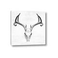 Picture of Cranial Bone ll   _GroupedProduct_Square_Canvas_