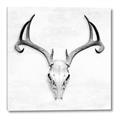 Picture of Cranial Bone ll   _GroupedProduct_Square_Canvas_